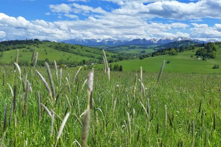 Kurort czy cisza Orawy? Dlaczego warto wybrać góry bez tłumów.