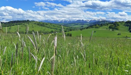 Kurort czy cisza Orawy? Dlaczego warto wybrać góry bez tłumów.