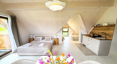 noclegi_babia_gora_apartament